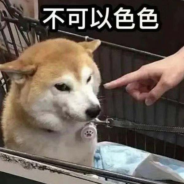 挽回一条犬