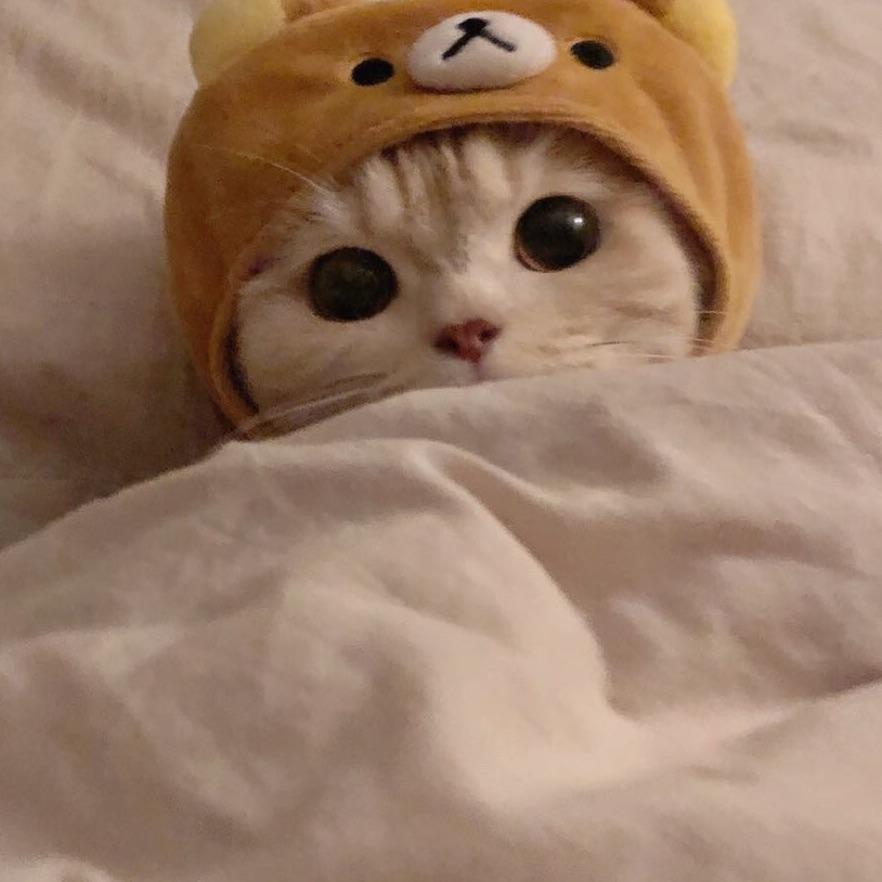 ɢᴏʏᴀ