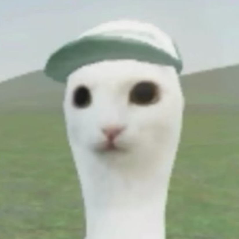 WAN