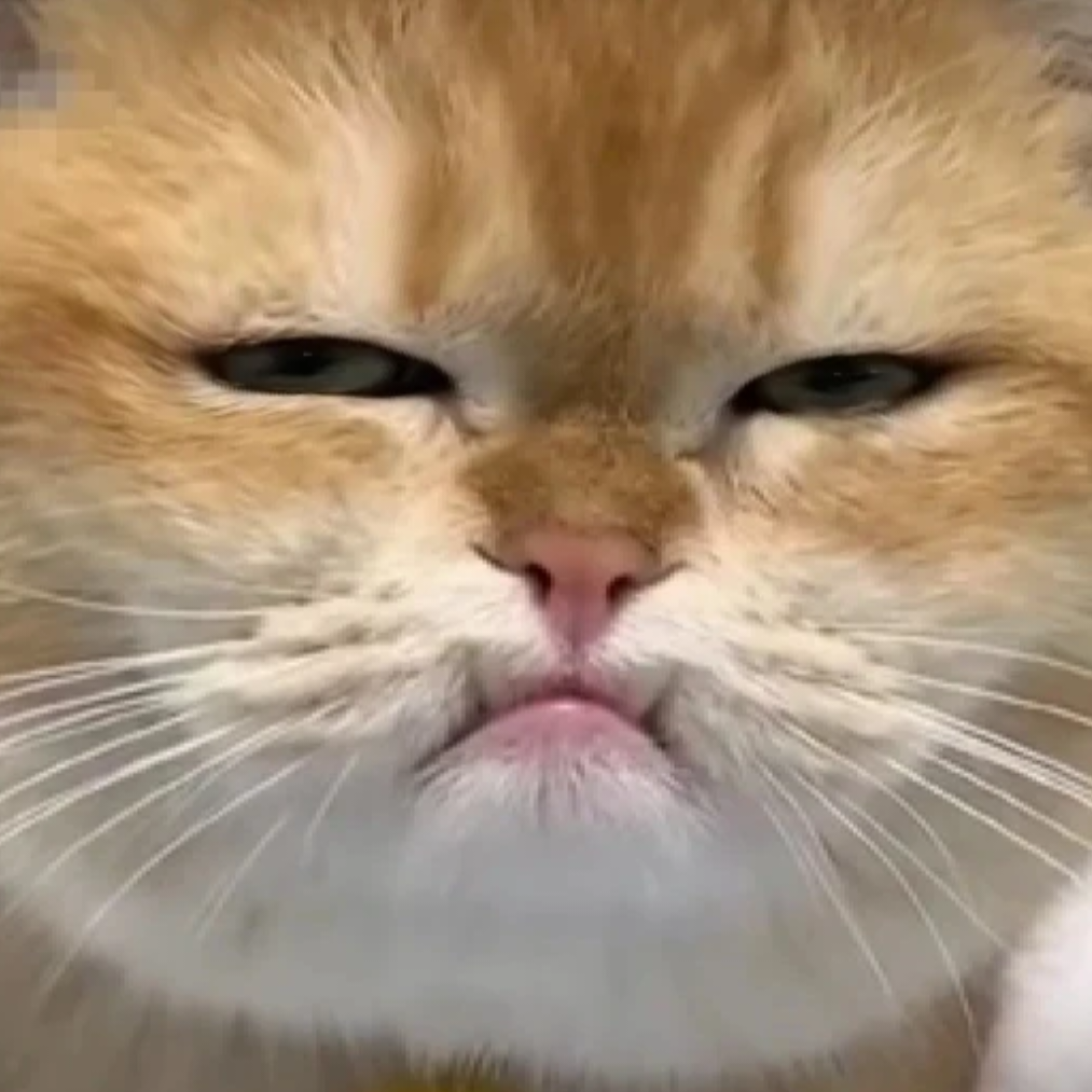 你是觉得我会输吗