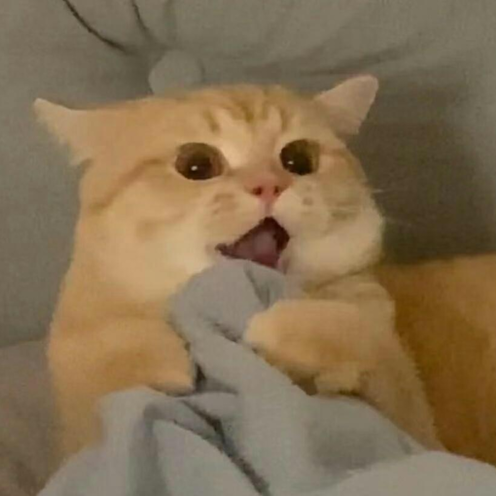 yoyoyo