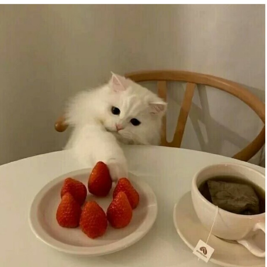 糖诗.