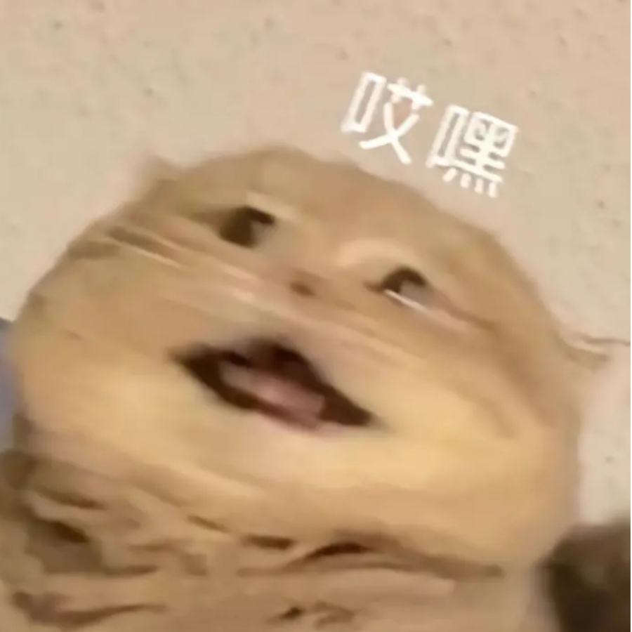 舟愉