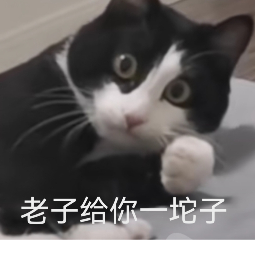 张。
