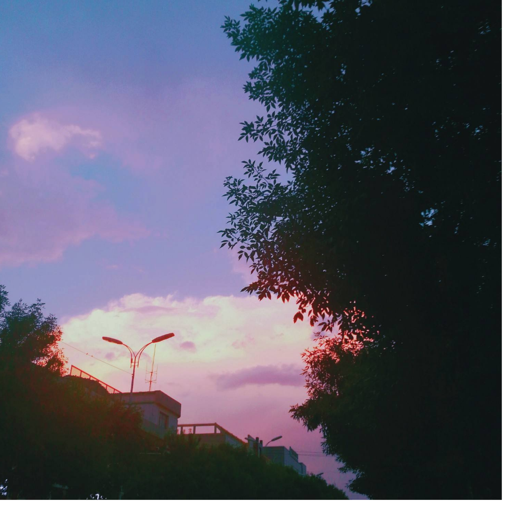 曙雀