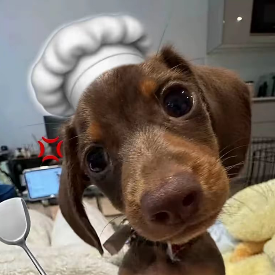 哦