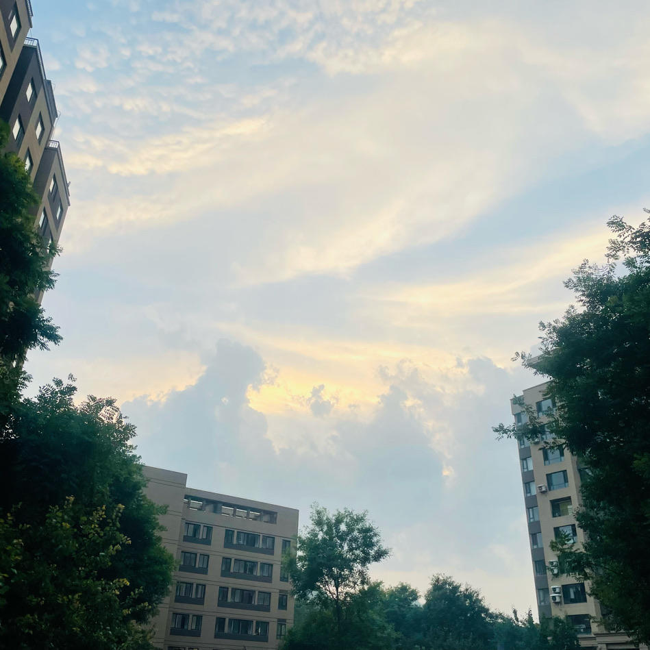 子非鱼