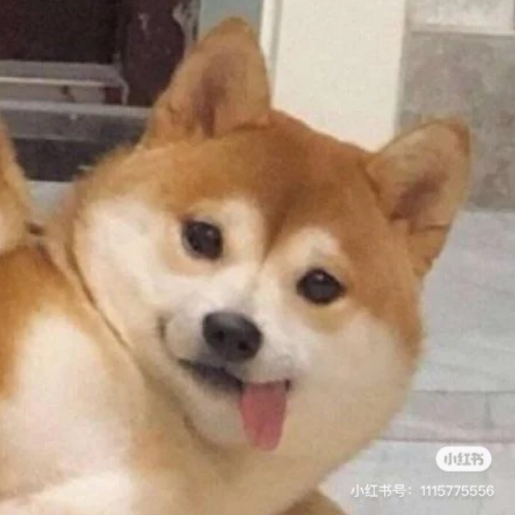 波仔