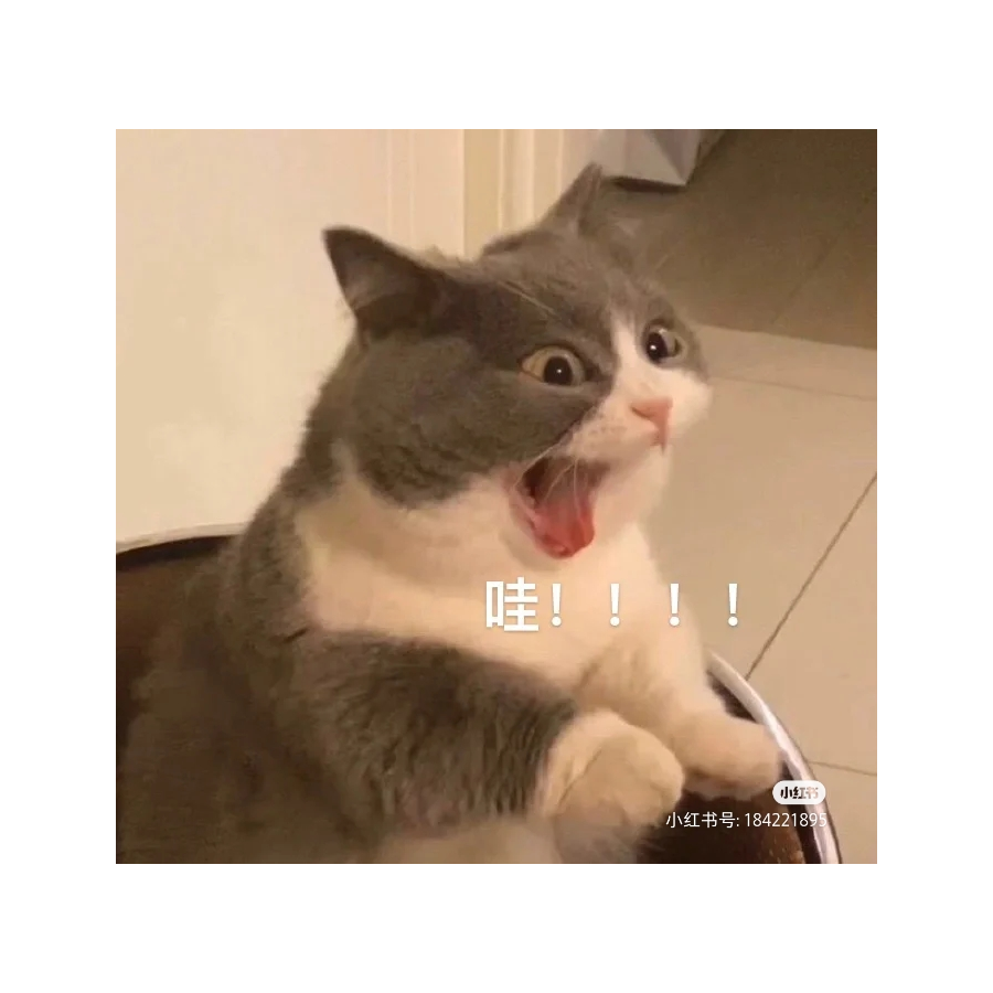 罐装