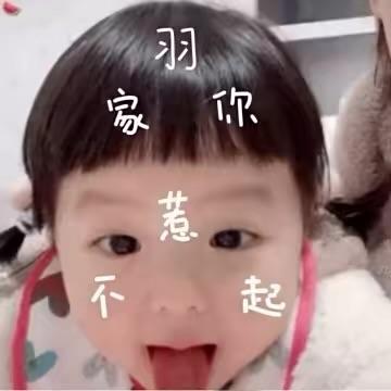 小猫