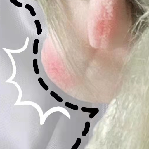 chu