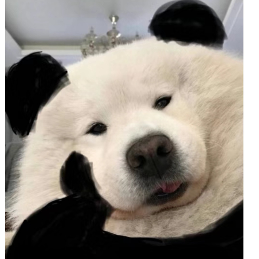 章鱼哥