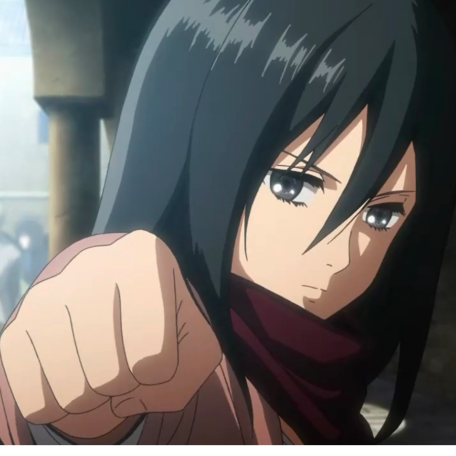 mikasa