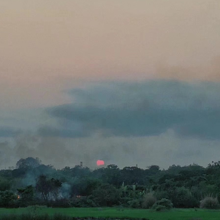 新田真剑佑的女票😉