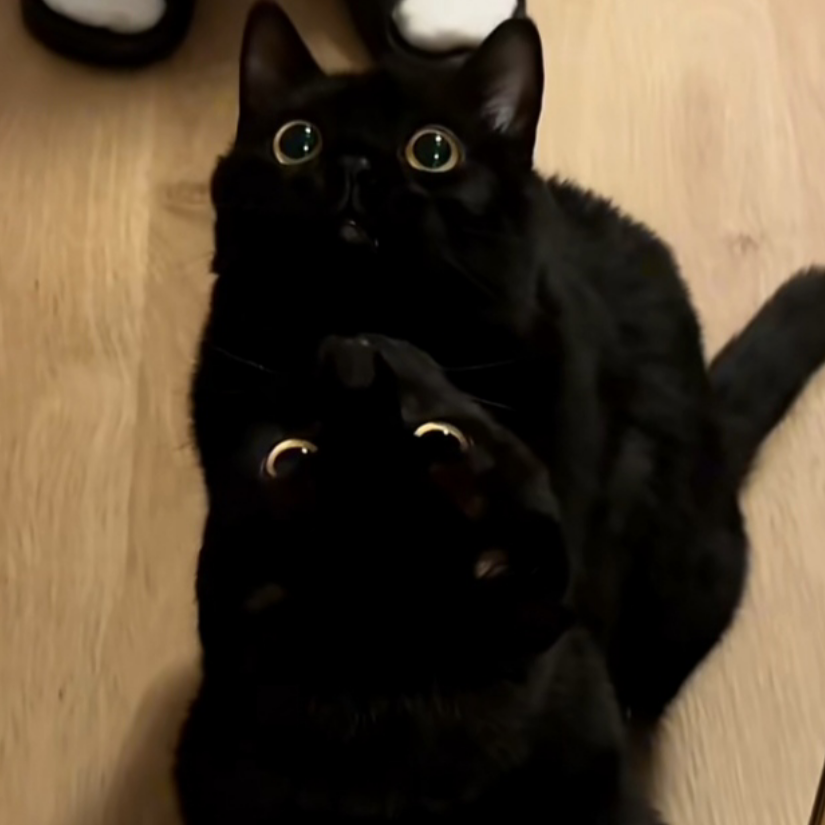 つ♡⊂