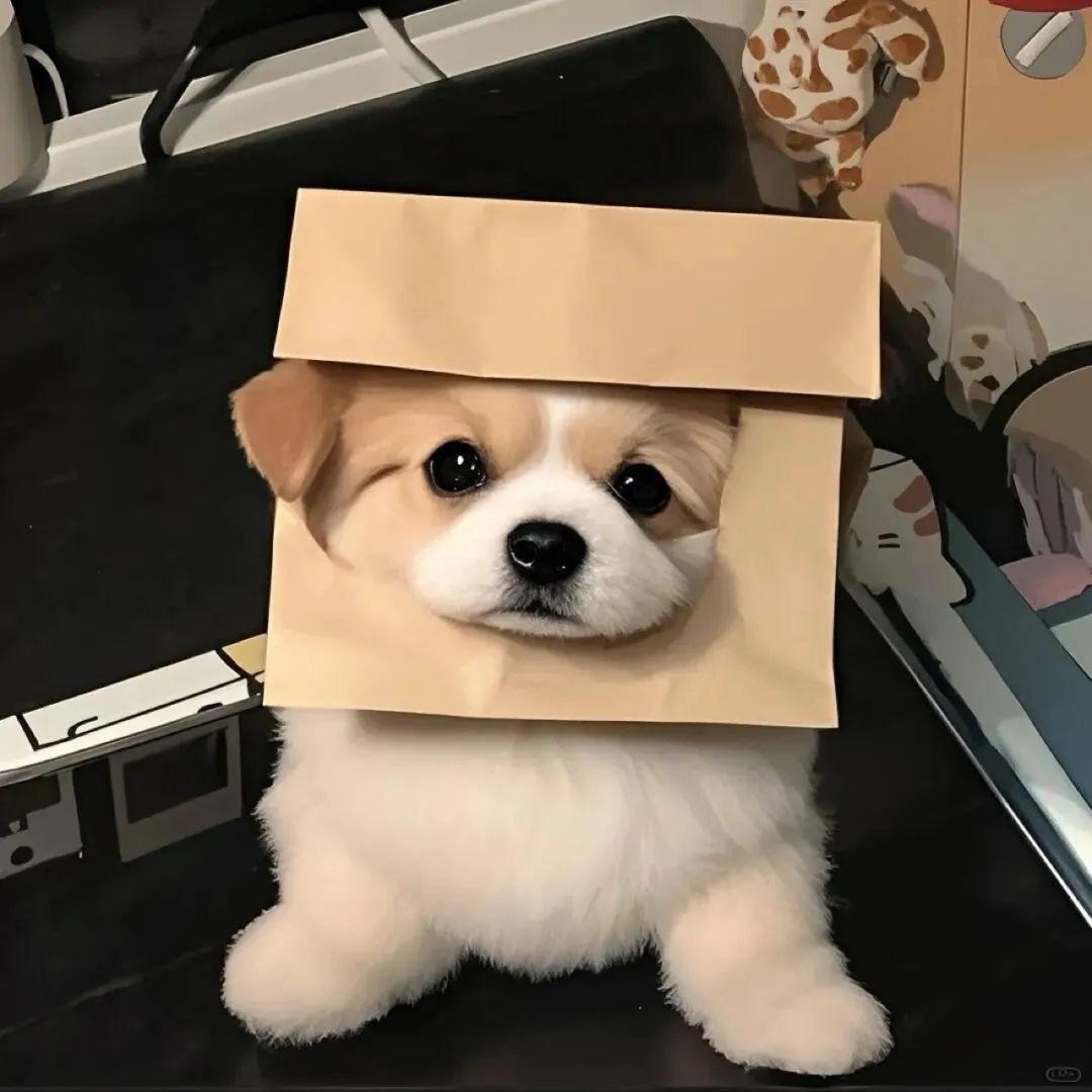 想吃三碗饭
