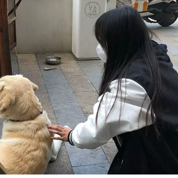 鹤扰.