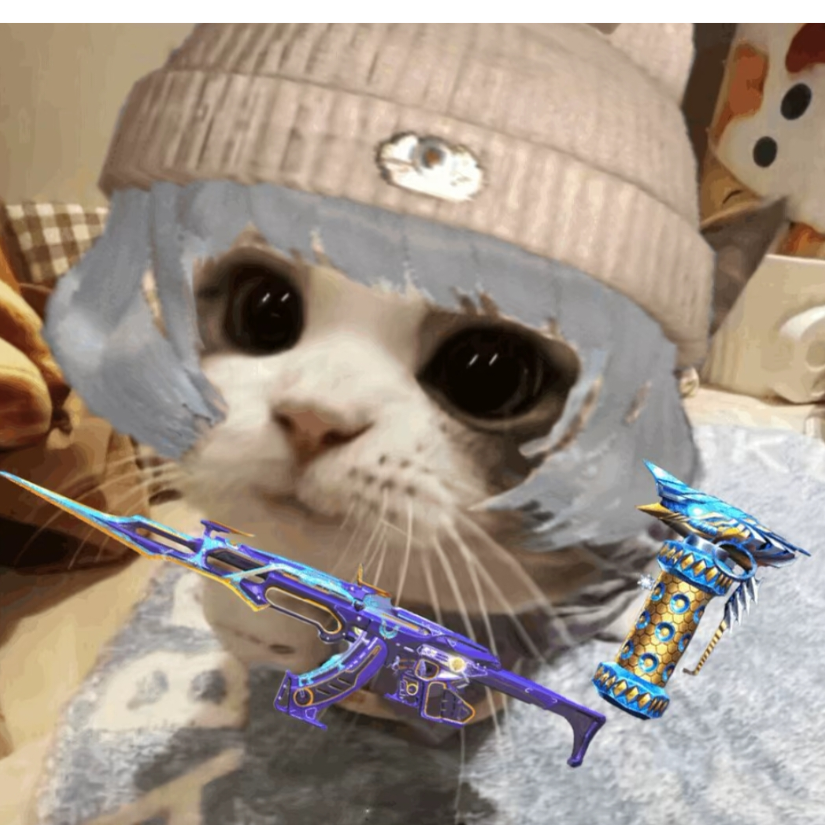 快乐龟内