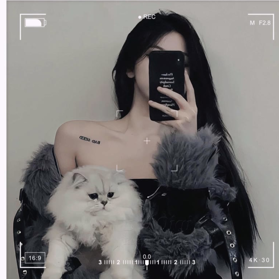 梦