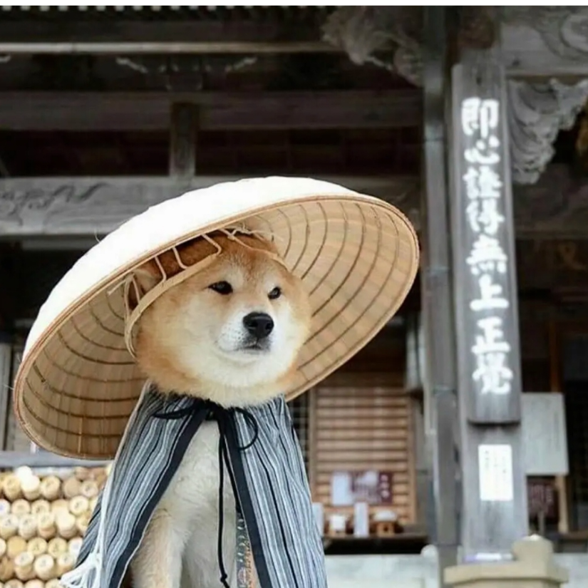 修勾