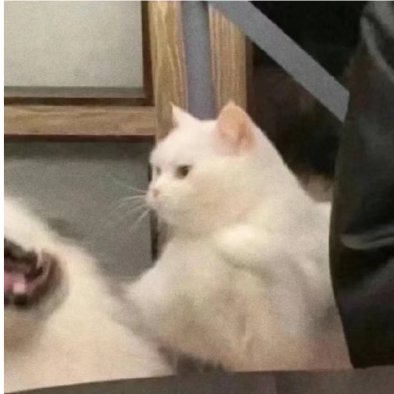 木