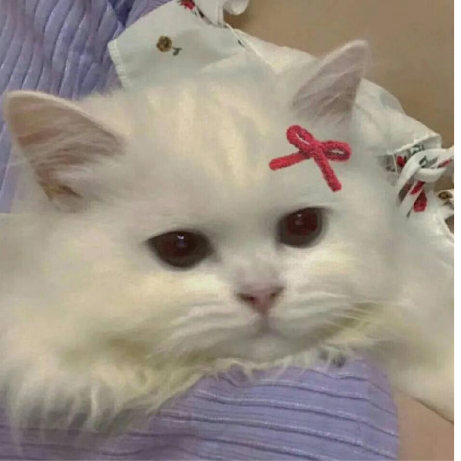 小白