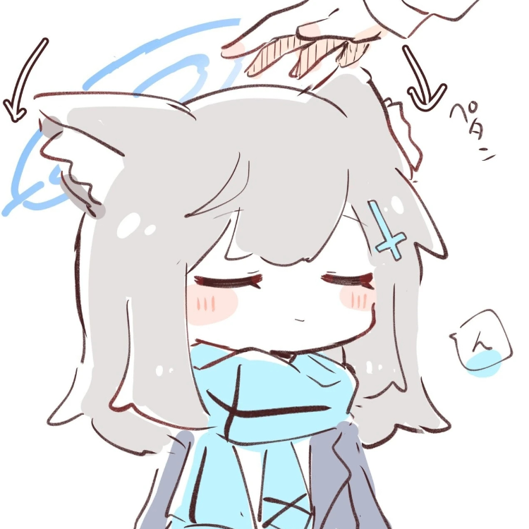 头光光