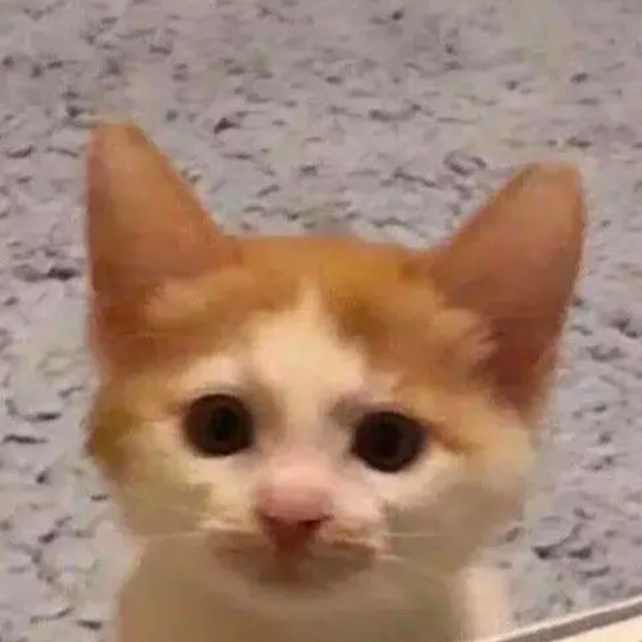 我便笑