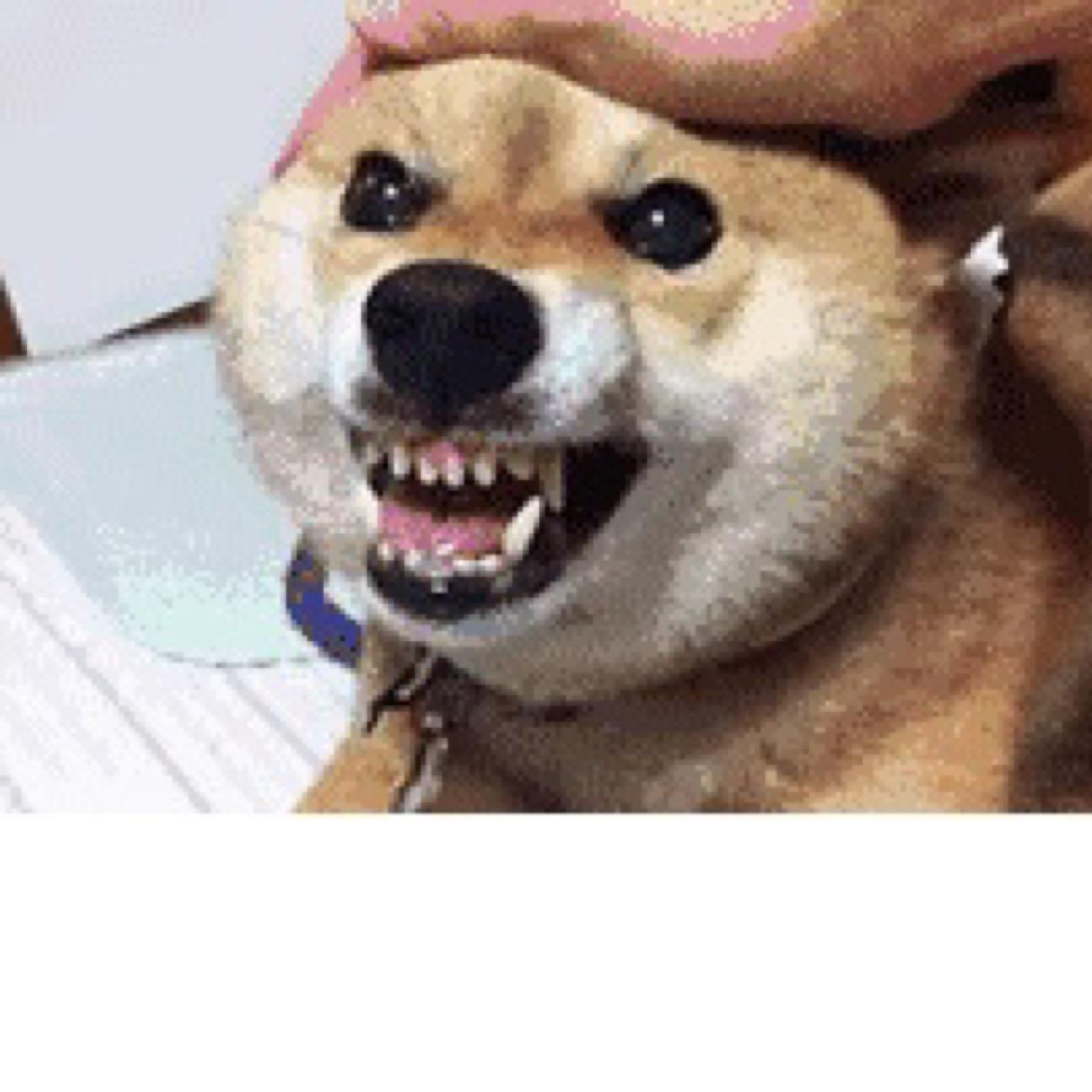橡物