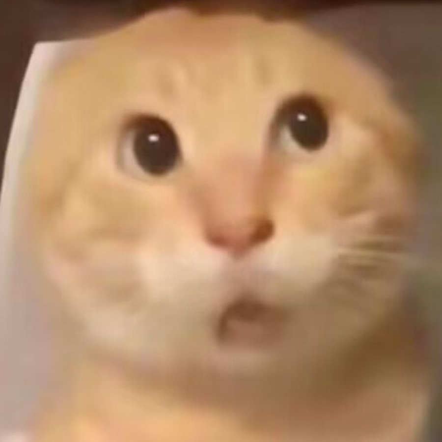 影