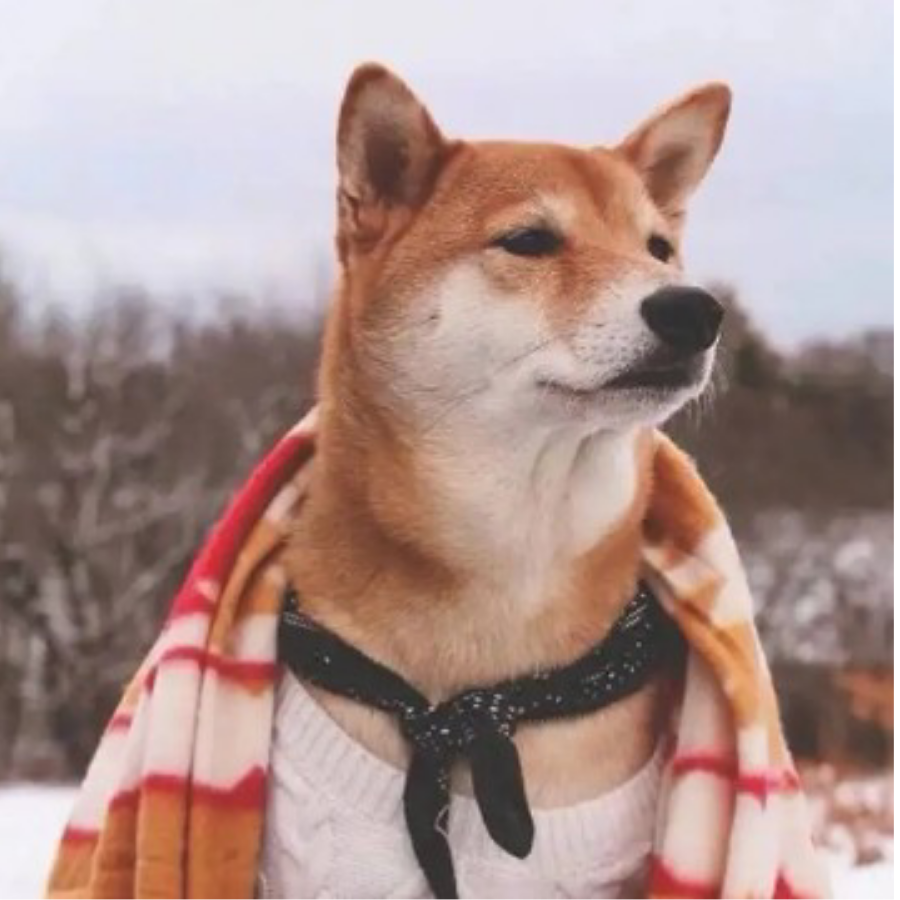 墙里秋千墙外道