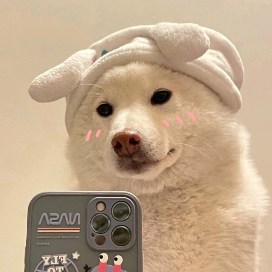 兔叽睡不醒