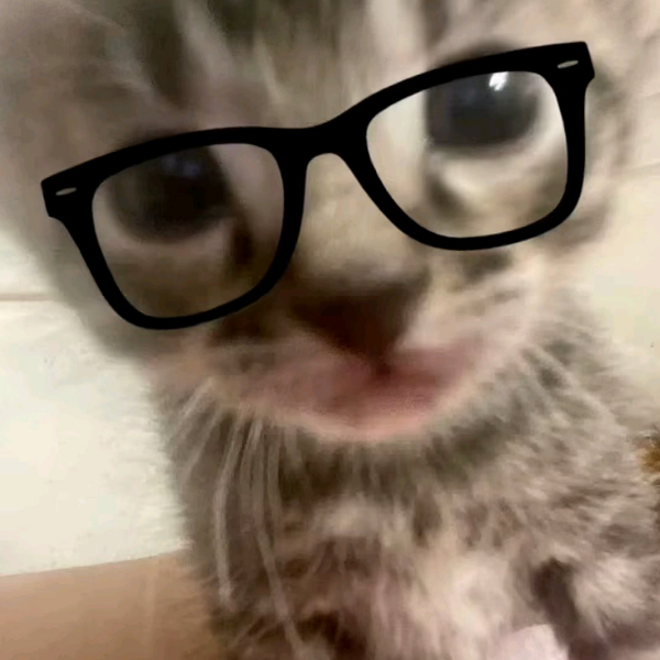 不见
