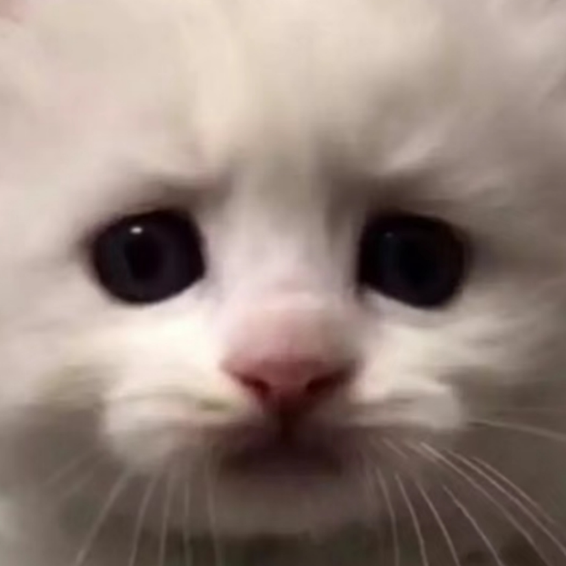 笑梦者