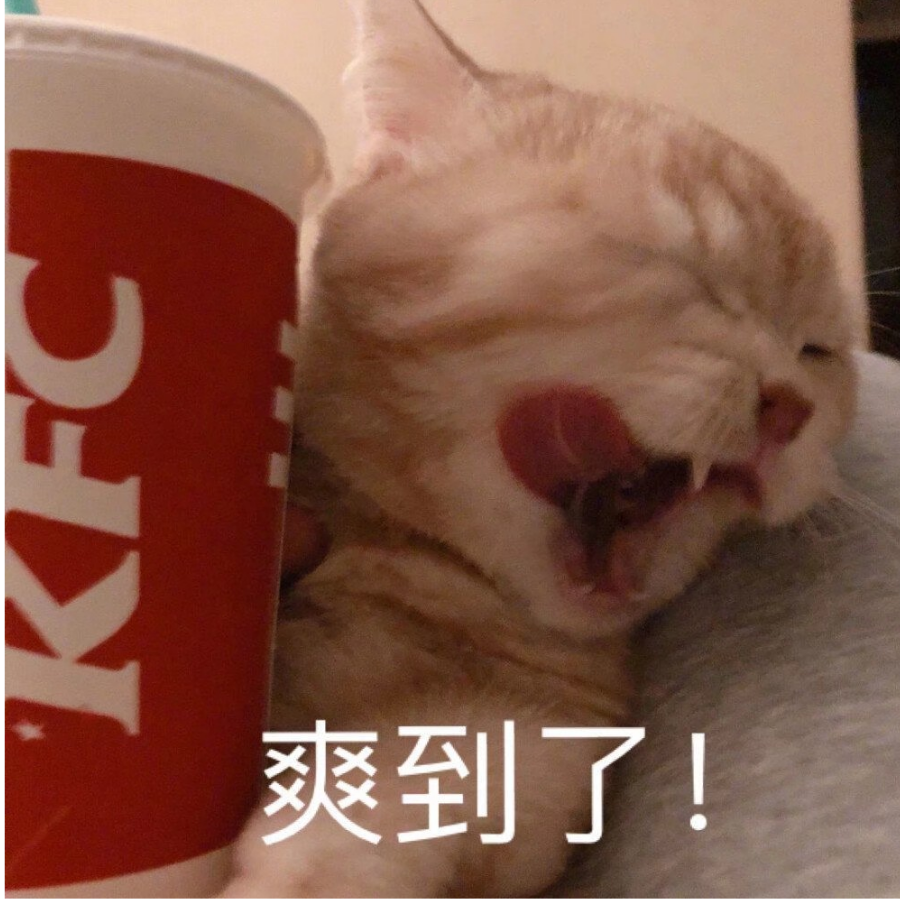 又菜又爱玩