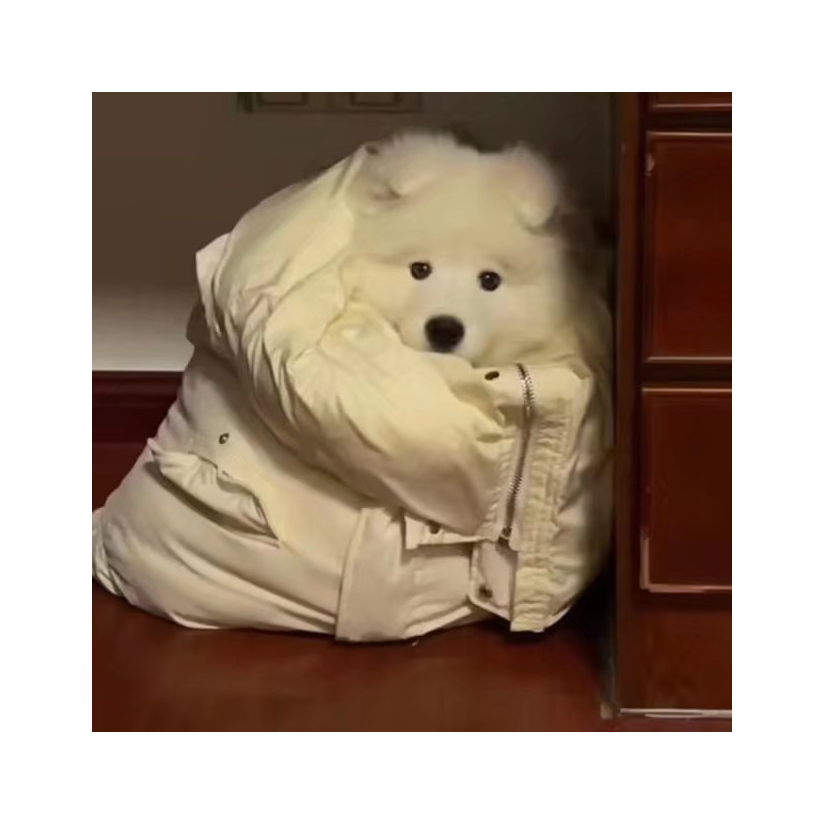 阿树