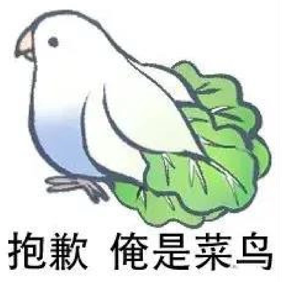 令