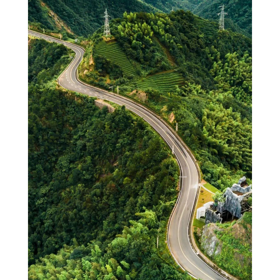 枫