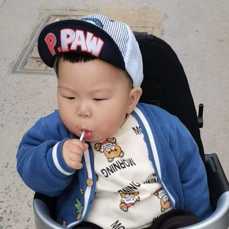 蚕宝宝不吃菌类