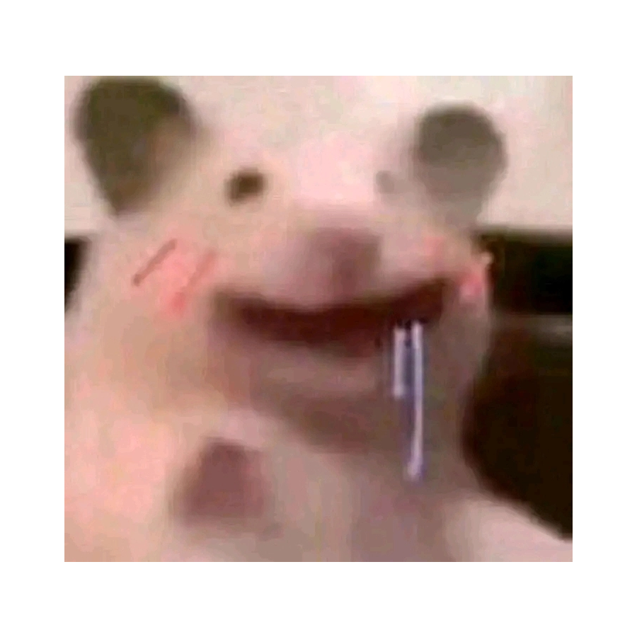 背负永恒疾风命运的男子