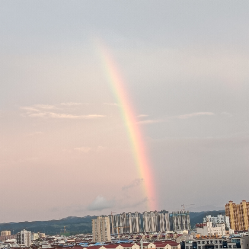 愈