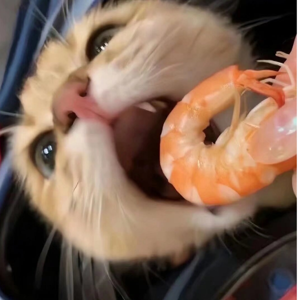 偏映秋