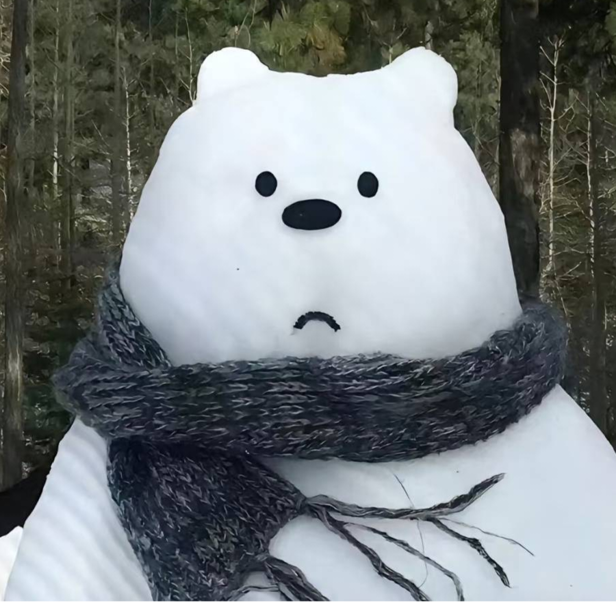 爱做梦的猫