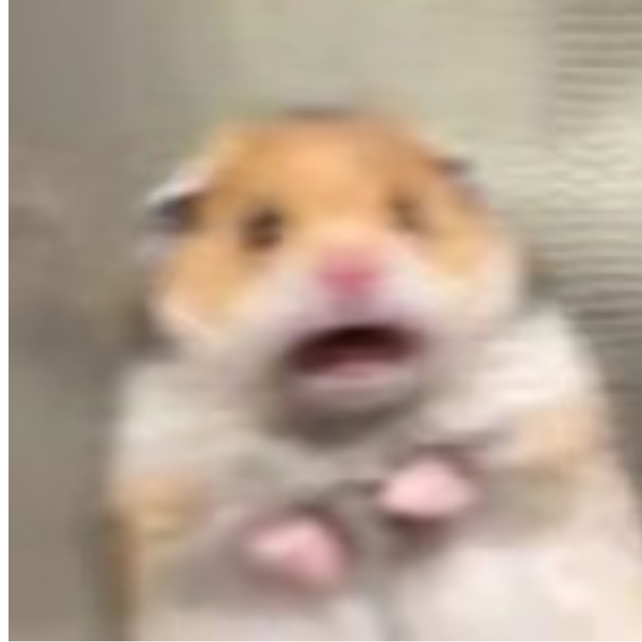 弥运