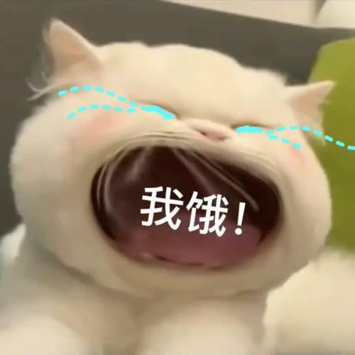 玖玖