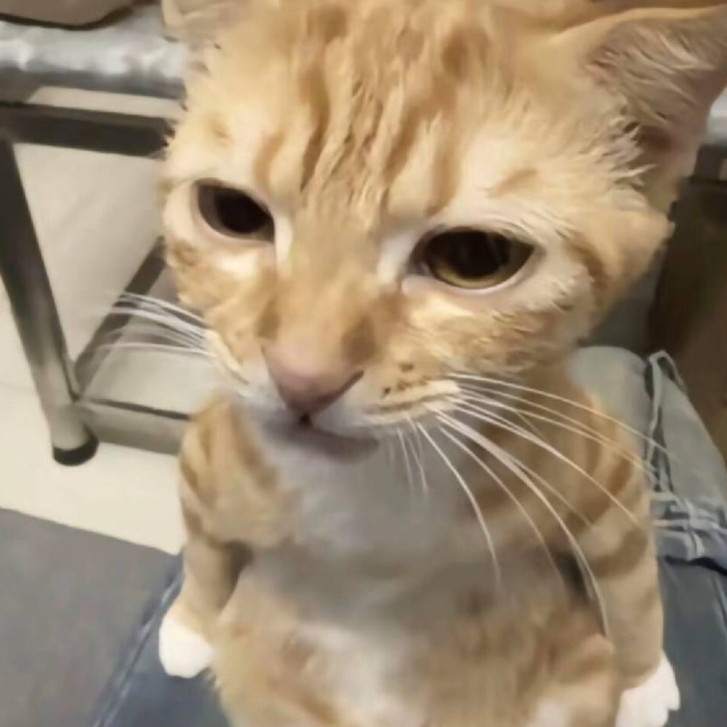末筱