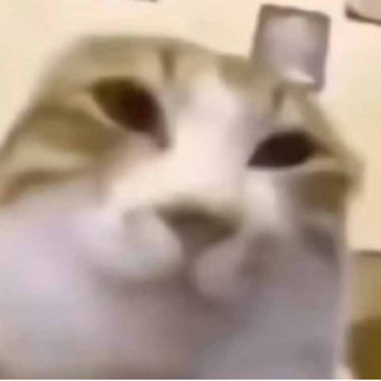 戴