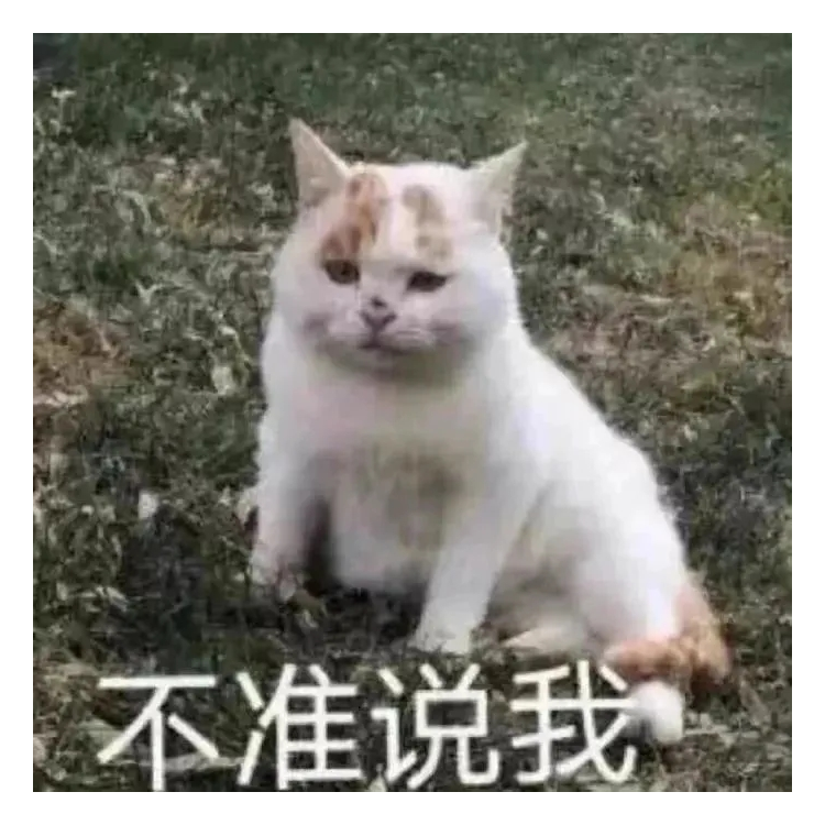 摸鱼