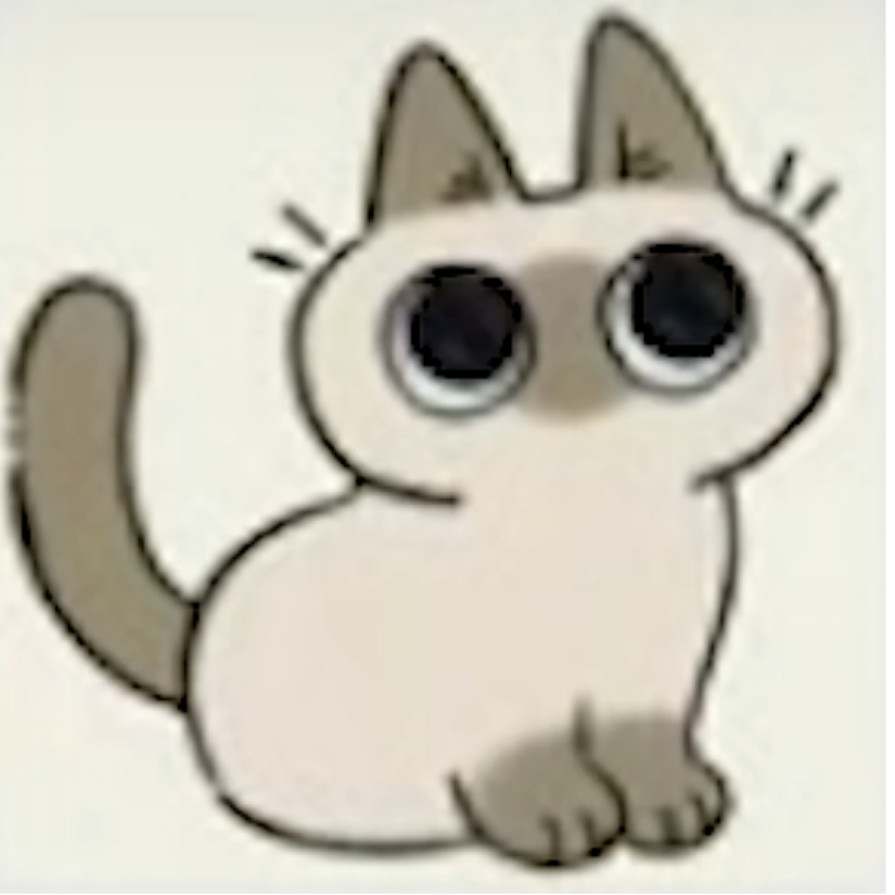 sysy007uu