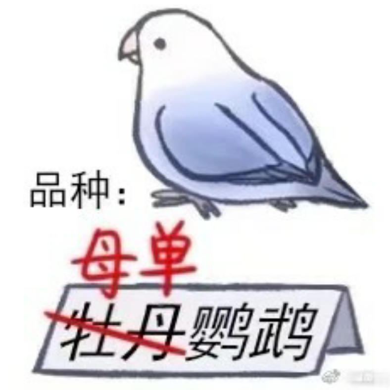 酉呈子